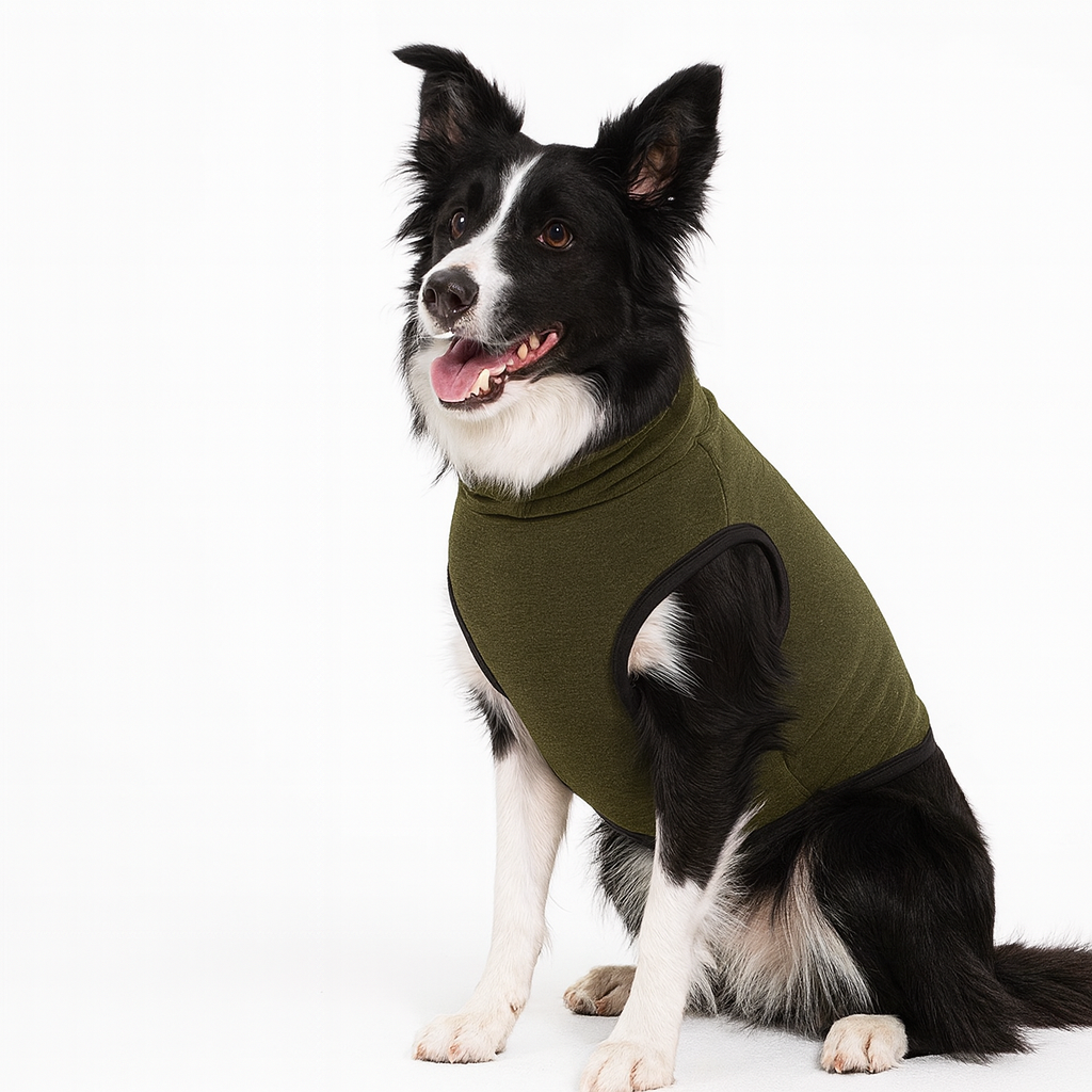 "Turn Anxiety into Calmness for Your Dog"